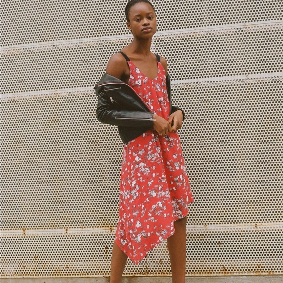 Rag & Bone Zoe Red Floral Garden Silk Dress - Picture 2 of 8